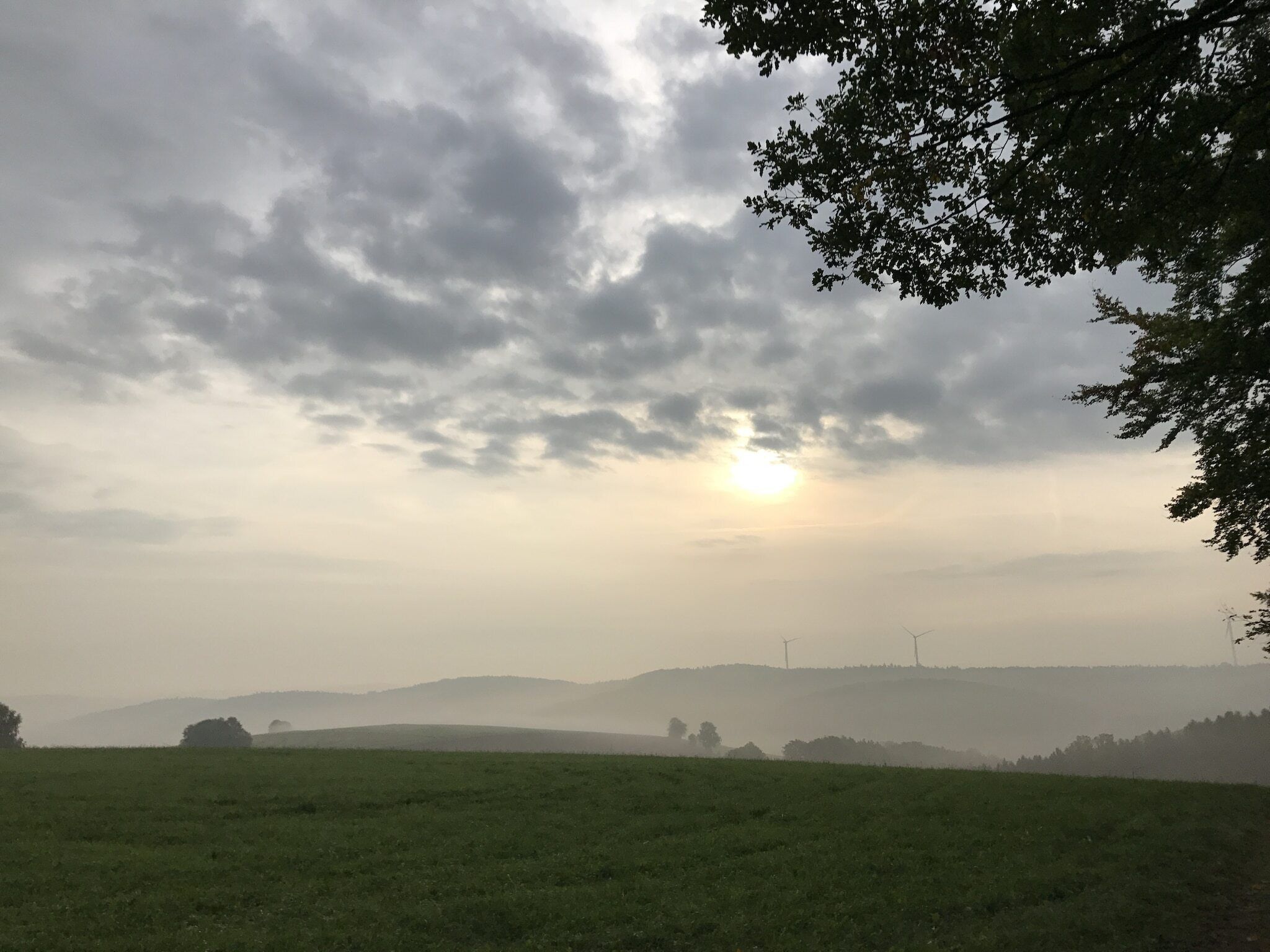 Eine neblige Landschaft mit einem Feld, fernen Hügeln und Windkraftanlagen.