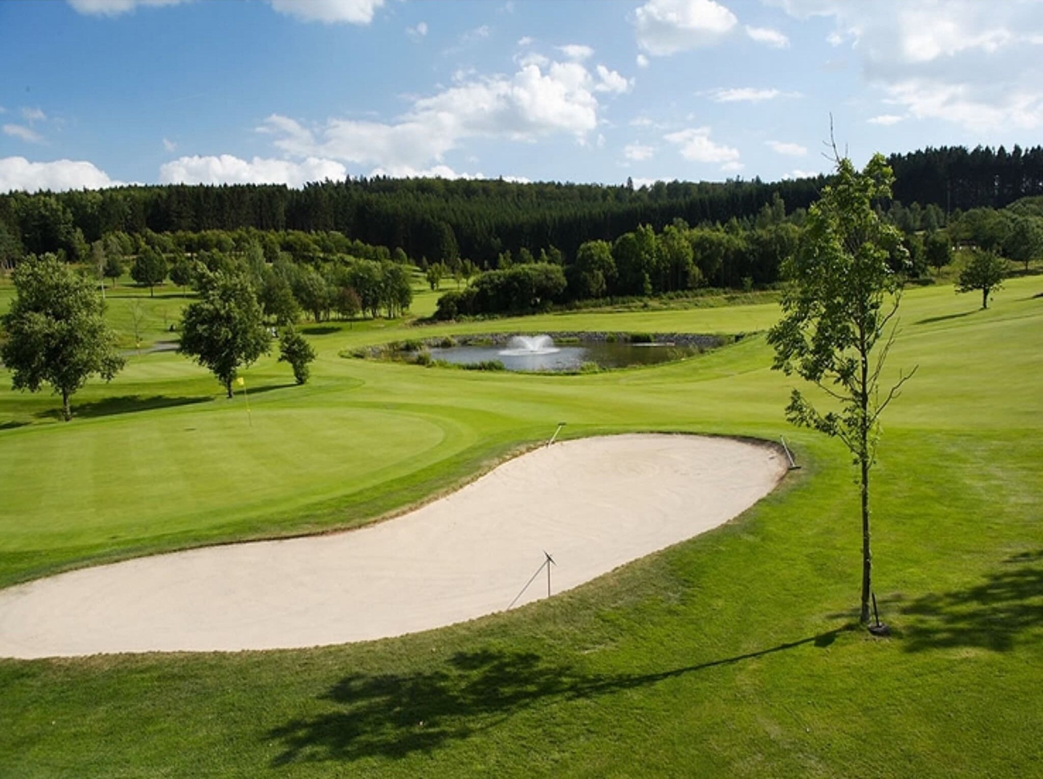 Um campo de golfe com um bunker de areia, lagoa e árvores.
