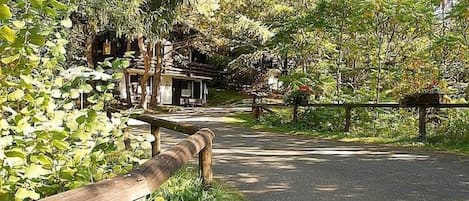 A paved pathway with a wooden fence on one side, surrounded by lush greenery and trees.