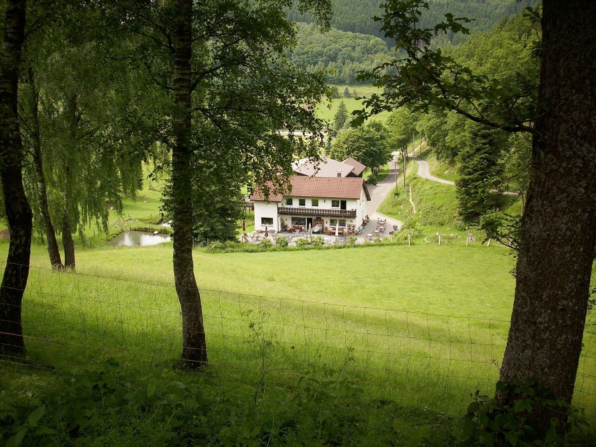 Direkte Umgebung [Sommer] (<1 km)