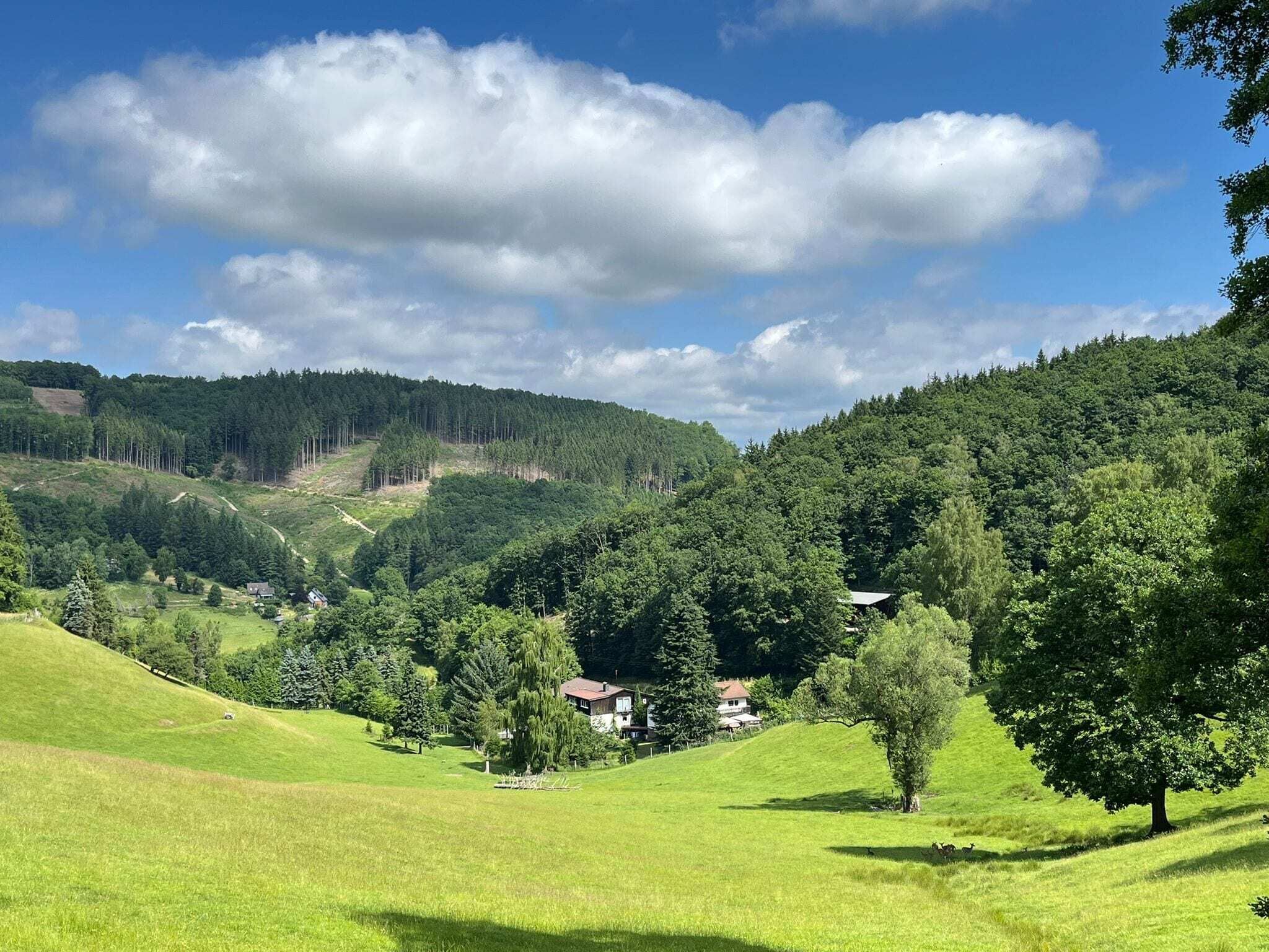 Direkte Umgebung [Sommer] (<1 km)