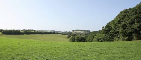 A green field with a hill and a building in the distance.