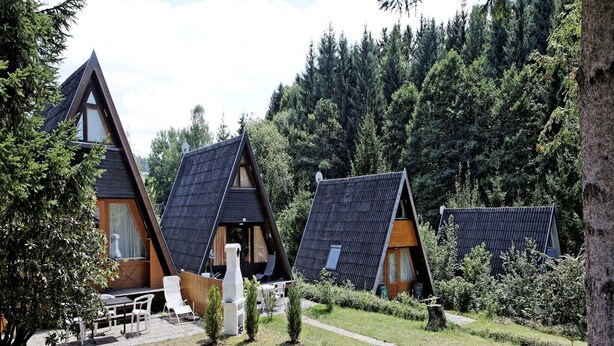 Cabañas con techo triangular rodeadas de un bosque denso.