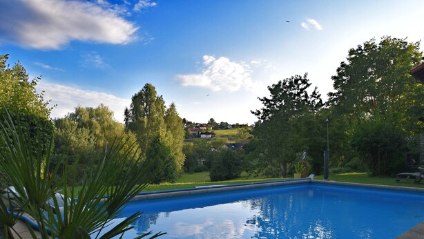 Una piscina rectangular con agua azul cristalina, rodeada de follaje y árboles.