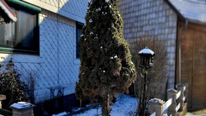 Zona exterior nevada con valla de madera, un árbol cubierto de nieve y un edificio con una ventana y un farol.