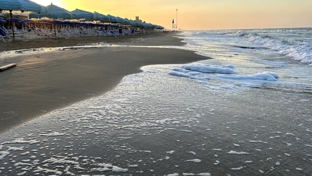A beach with a row of umbrellas and lounge chairs, a clear sky, and waves approaching the shore. - The "Cenerone" - Comfort and Relax, discover sea and country, feel our culture (Borgo Santa Maria Immacolata)