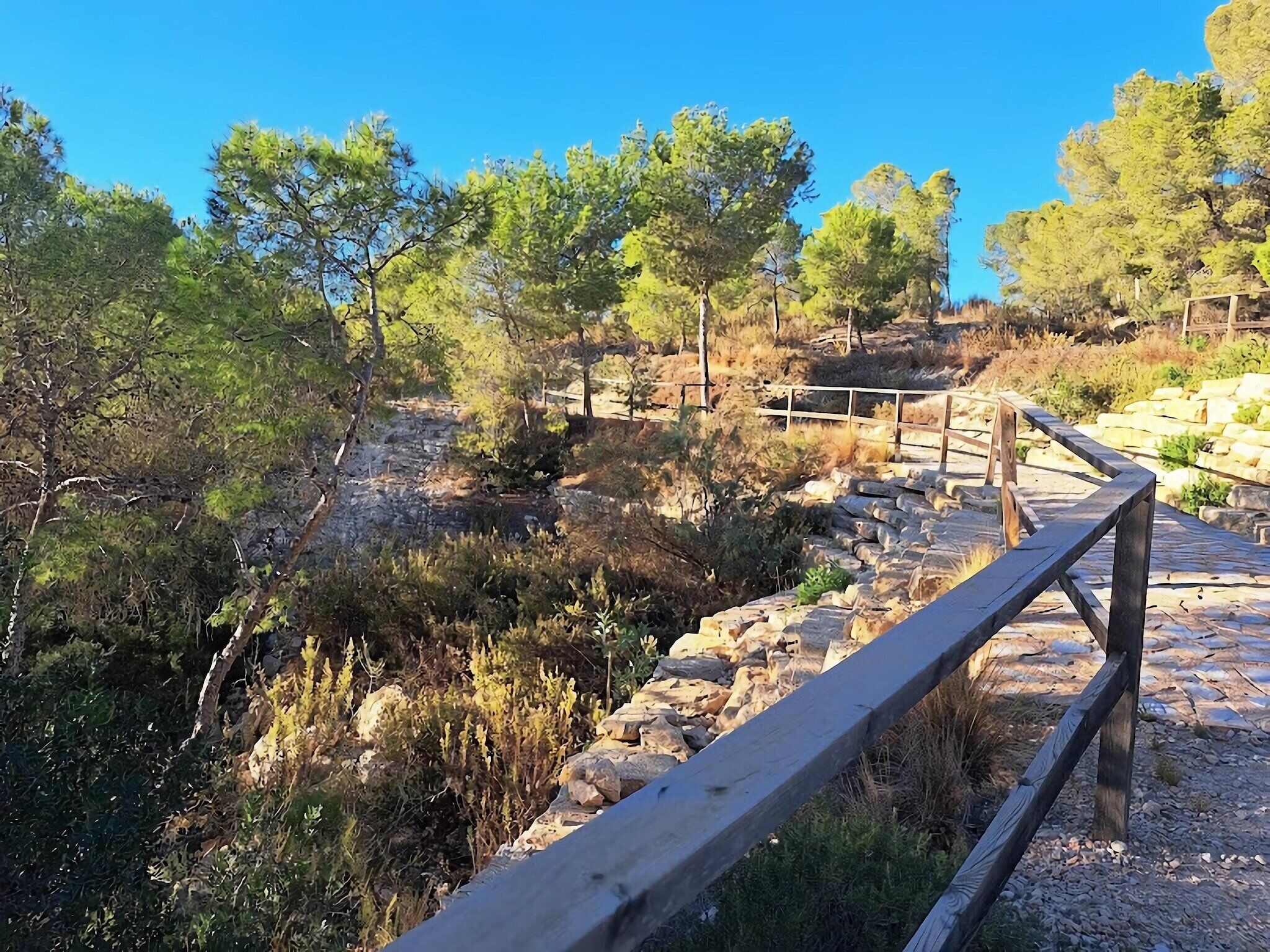 A stone pathway with a wooden railing, surrounded by trees and rocky terrain.