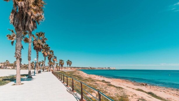 A coastal walkway lined with palm trees, leading to a beach with a clear blue sky.