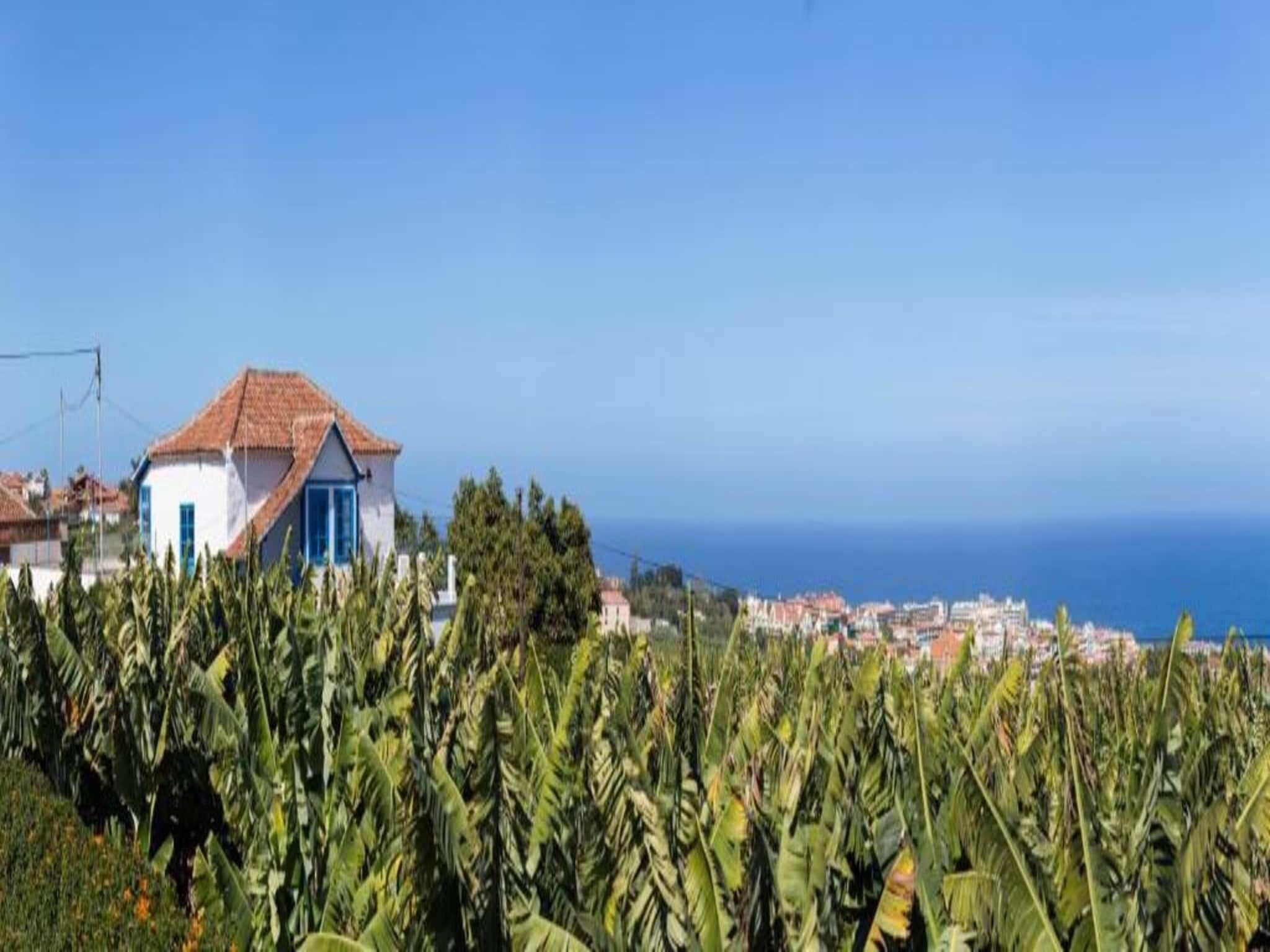 A coastal view with a house in the foreground and a cityscape in the background.