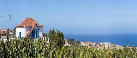 A coastal view with a house in the foreground and a cityscape in the background.