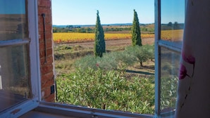 A window with a view of a vineyard and distant hills. - Holiday Home in Béziers with Pool and Vineyard (Murviel les Béziers)