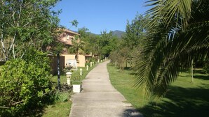 A concrete pathway leading to a building with a tiled roof, surrounded by greenery and palm trees.