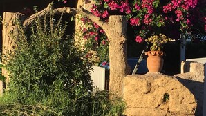 A stone archway with pink flowers and a potted plant. - Holiday Home in Moriani-Plage near Beach (Moriani Plage)