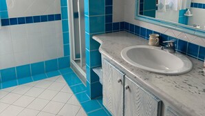 A bathroom with blue and white tiles, a sink, a mirror, and a shower. - Villa Pinna (San Teodoro)