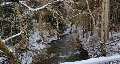 Appartement dans l'Oberharz Ă Wildemann