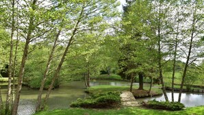 Un parc paisible avec un étang, entouré d’arbres verdoyants et agrémenté d’un sentier pédestre.
