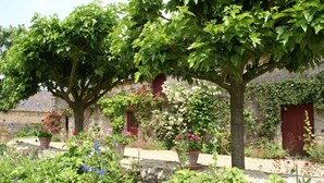 A rustic stone building with a garden in front, featuring potted plants and flowering shrubs.
