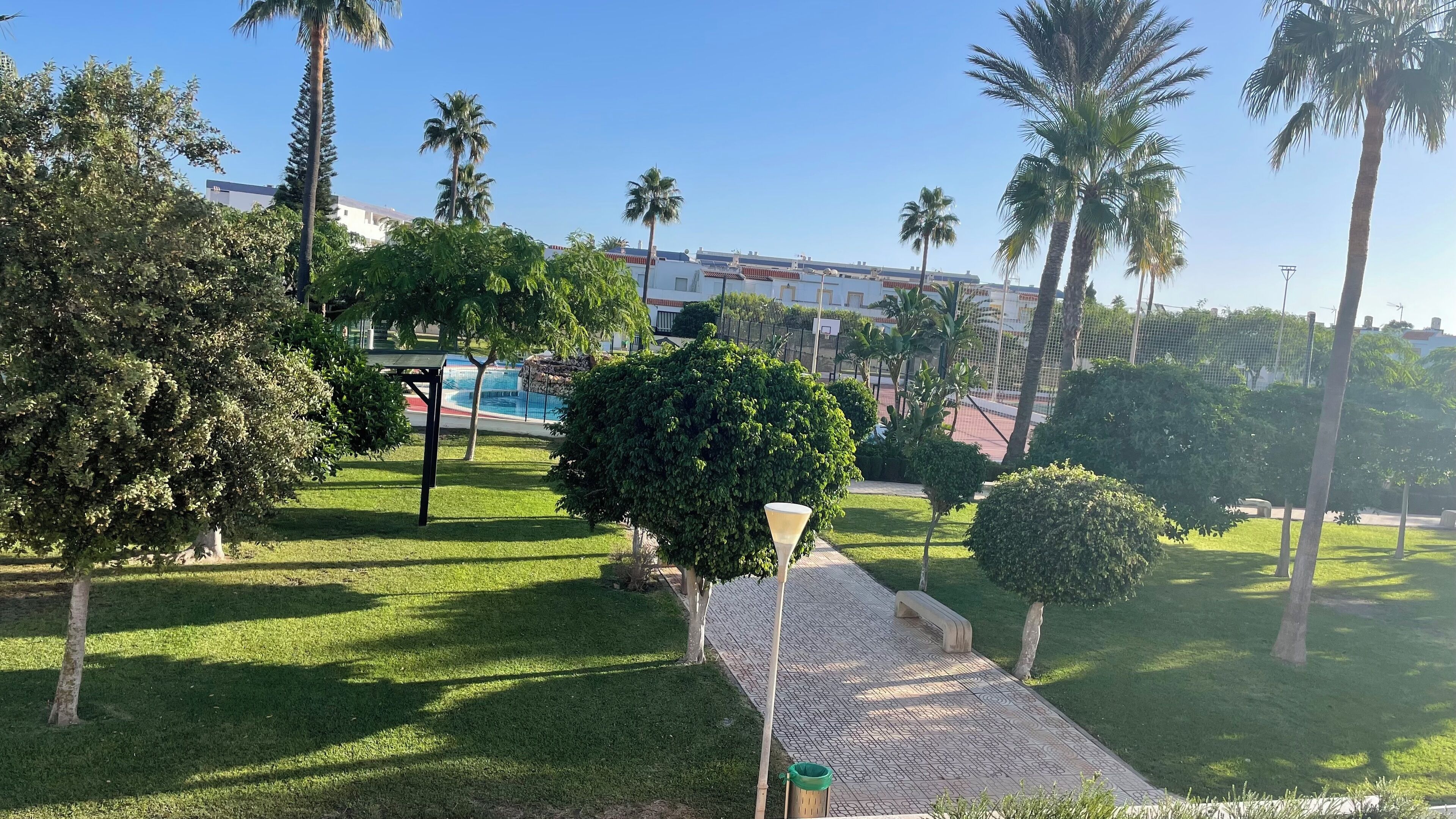 A well-maintained garden with a paved walkway, palm trees, and a pool area.