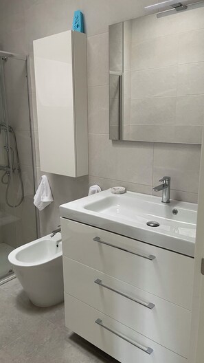 Een douche, een bidet, handdoeken, toiletpapier