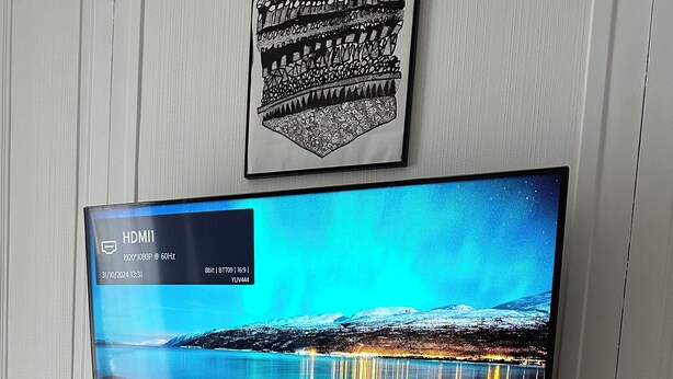 A flat-screen TV mounted on a wall displaying a scenic landscape. - The bird house (Tours)