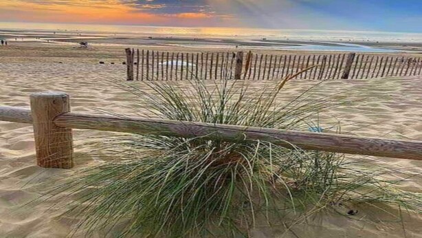 Ein Strand mit einer Holzlattenumzäunung und hohem Gras im Vordergrund.