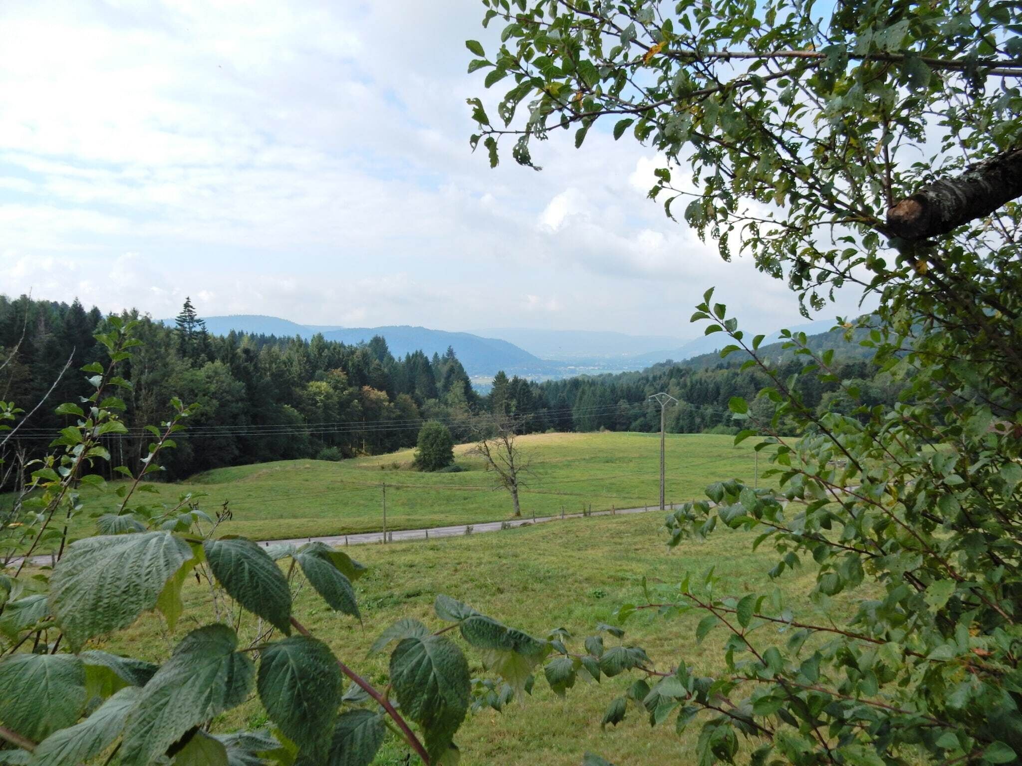 Paisaje rural con un campo cubierto de hierba, árboles y montañas a lo lejos.
