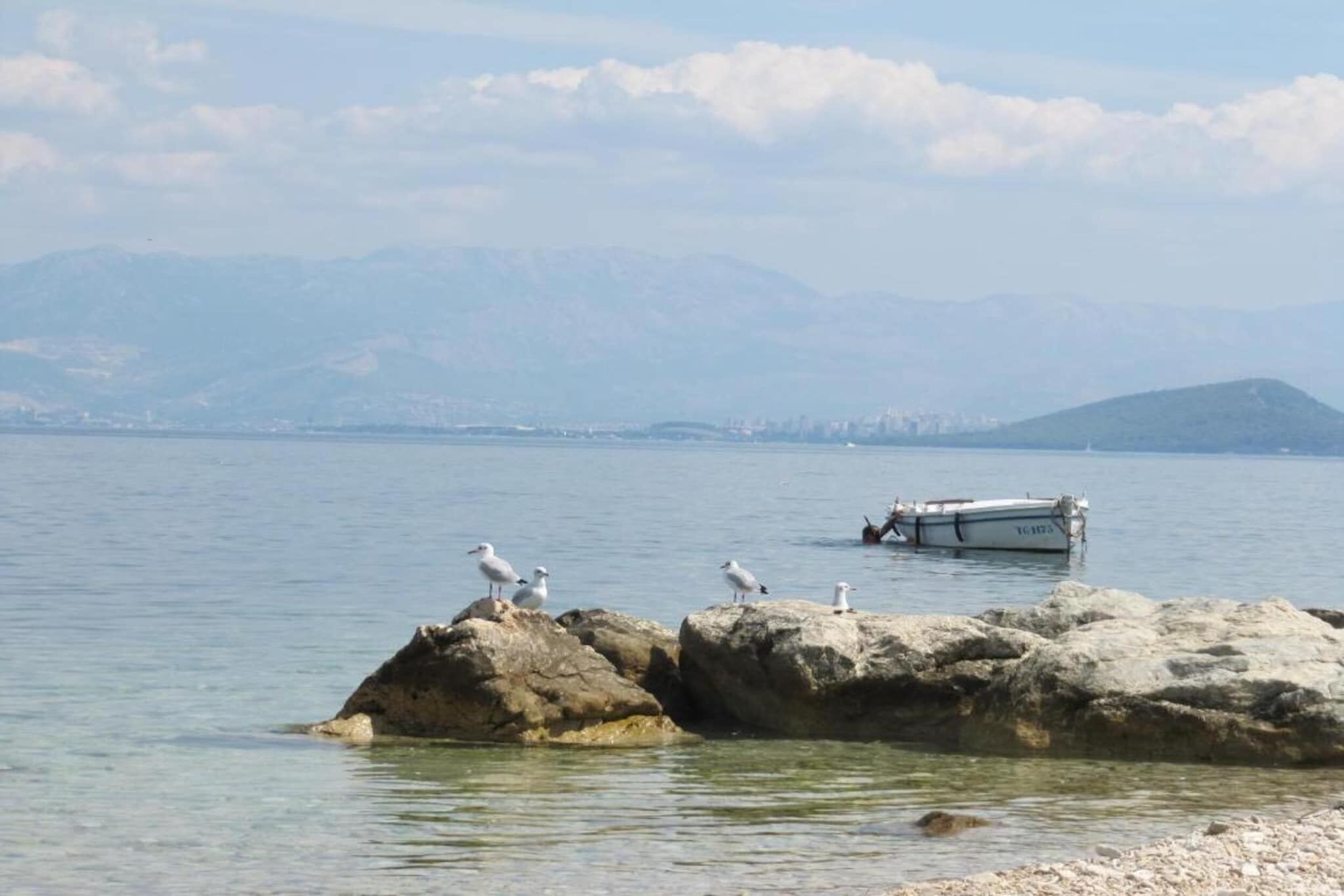 A rocky shoreline with seagulls perched on the rocks and a boat in the water.