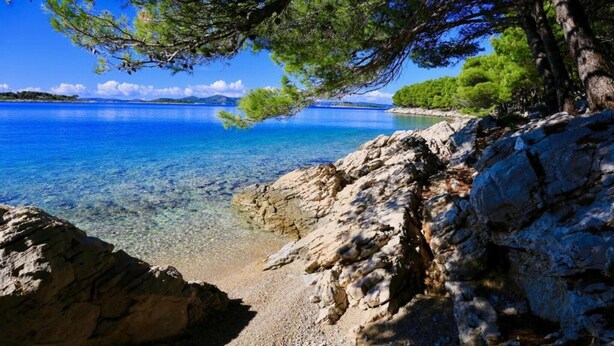 A rocky shoreline with clear blue water and a tree overhead. - Apartment in Zadar with free wifi (Zadar)