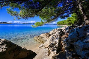 Una costa rocciosa con acque blu cristalline e un albero sullo sfondo.