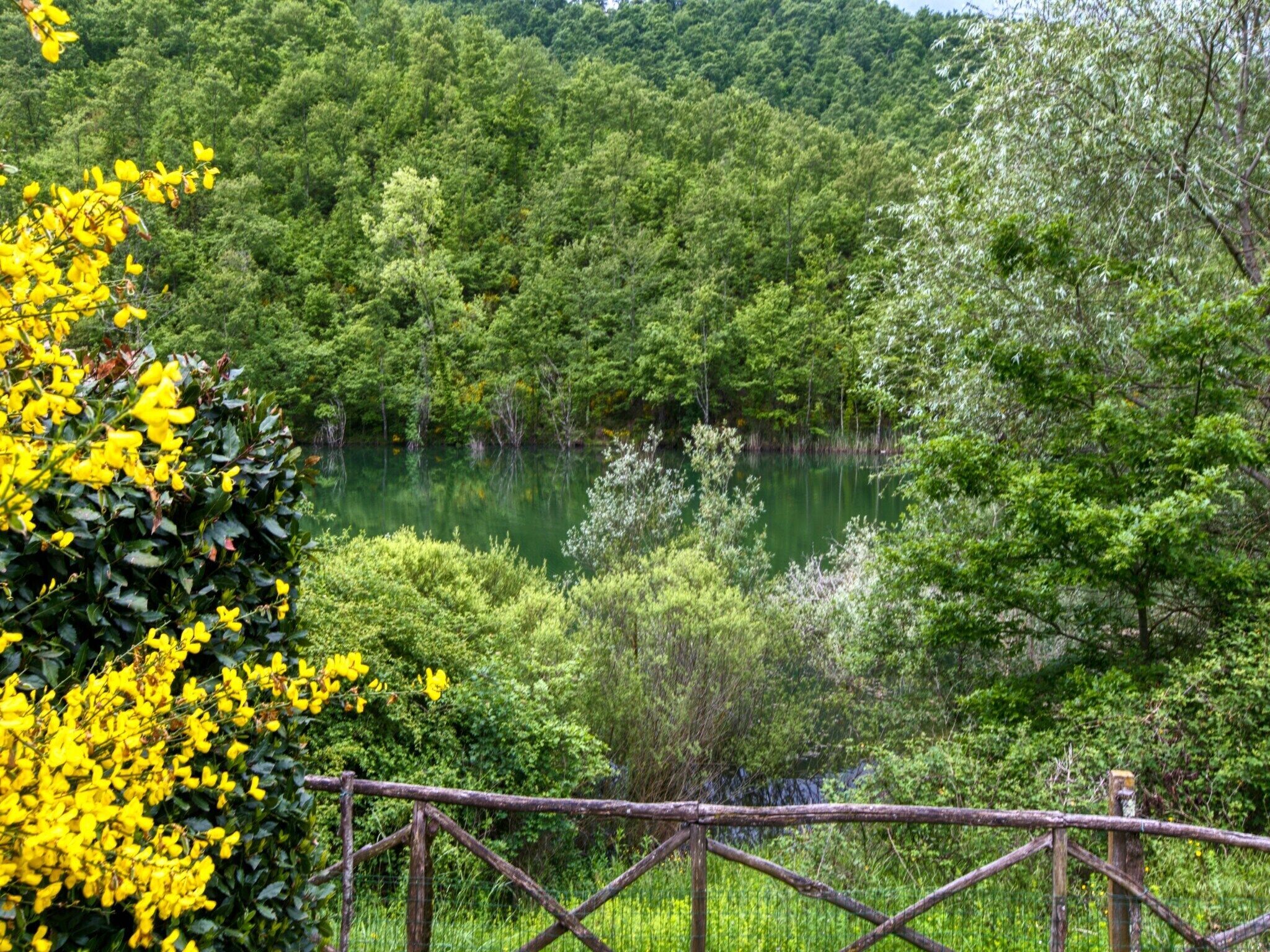 Eine natürliche Landschaft mit einem See, umgeben von dichtem Grün, und einem Holzzaun im Vordergrund.