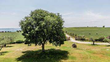 Parco della struttura