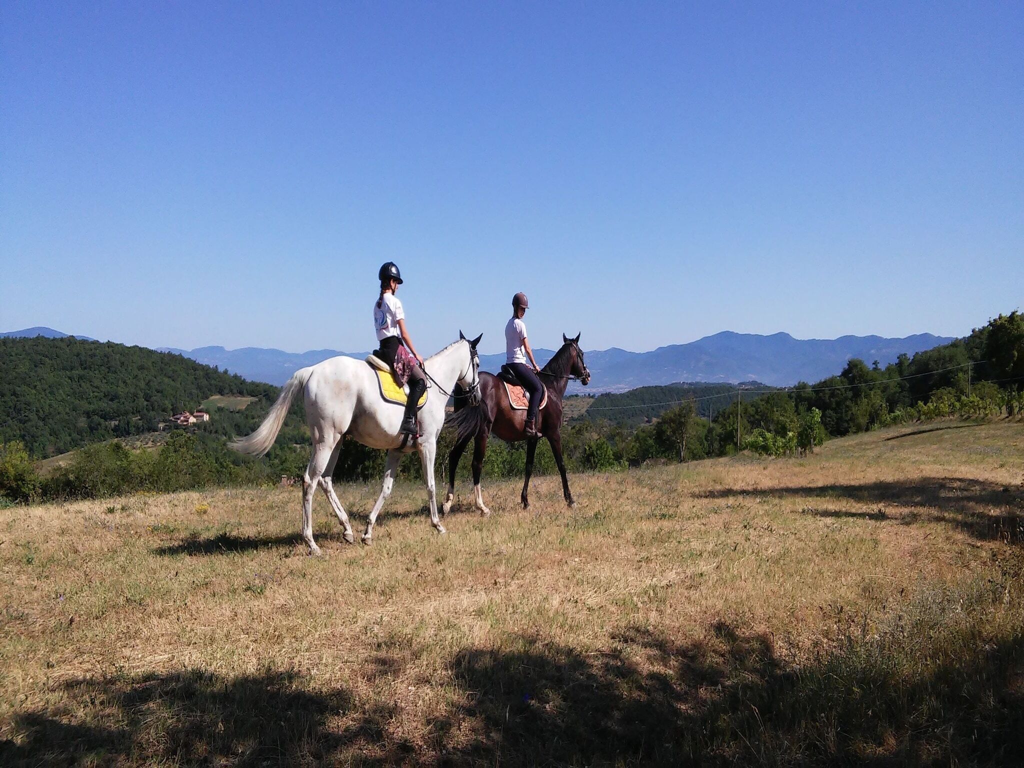 Two people riding horses in a grassy field with a mountainous backdrop.