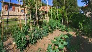 Um jardim com plantas sustentadas por estacas de bambu, um edifício de pedra com venezianas vermelhas e um céu azul límpido.