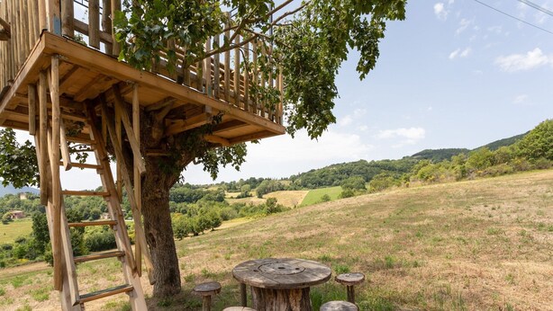 A wooden treehouse with a ladder, surrounded by a grassy field and a scenic view of hills.
