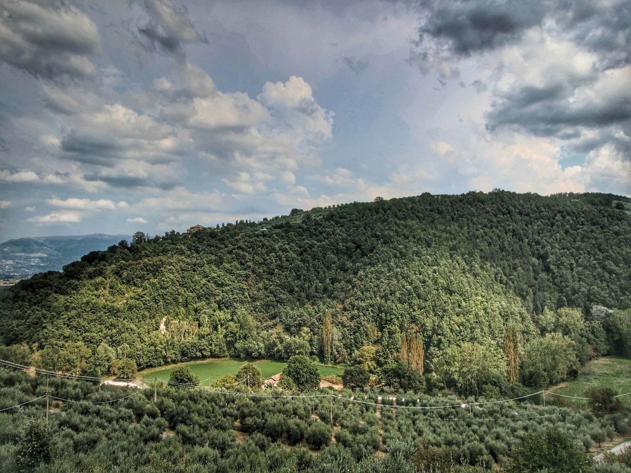 Una ladera verde y exuberante con un pequeño edificio rodeado de un bosque denso.