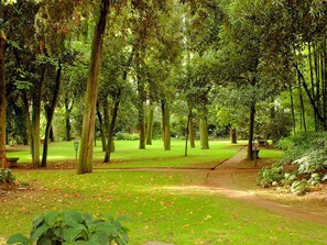 Áreas de la propiedad