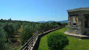 Property grounds - Villa in Alghero with Pool & Near Town (Alghero)