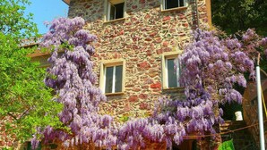 Un bâtiment en pierre doté d’une façade rustique, de nombreuses fenêtres et de plantes grimpantes aux fleurs violettes.