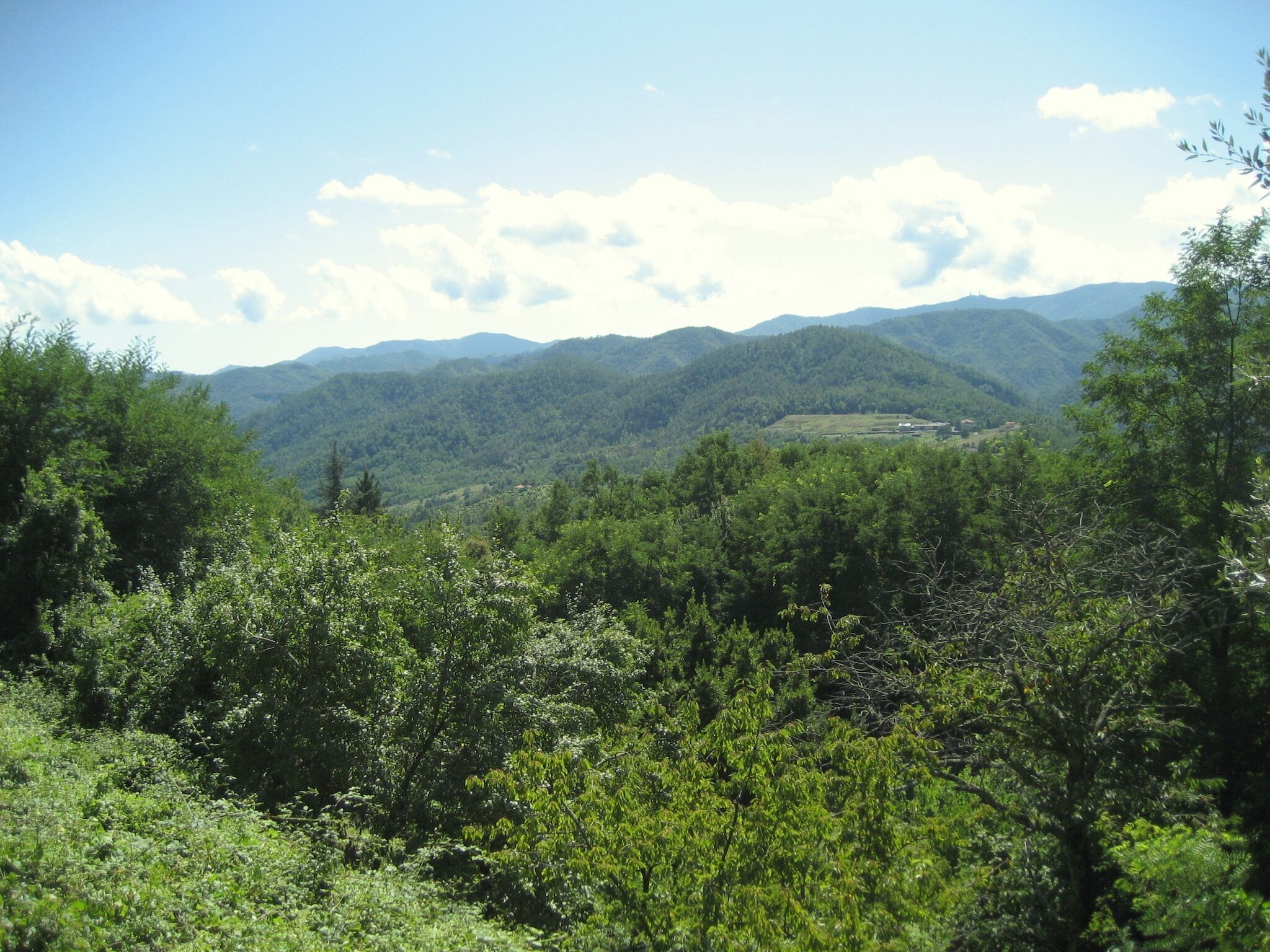 A mountainous landscape with dense greenery and a clear sky.