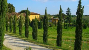 A rural landscape with a gravel road, tall cypress trees, and a yellow building with a red roof. - Holiday Home in Tuscany with Pool & Garden (Vinci)