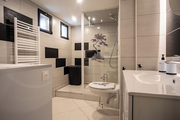 Shower, hair dryer, towels, toilet paper