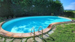 A swimming pool with a curved edge, surrounded by a grassy area and dense foliage.