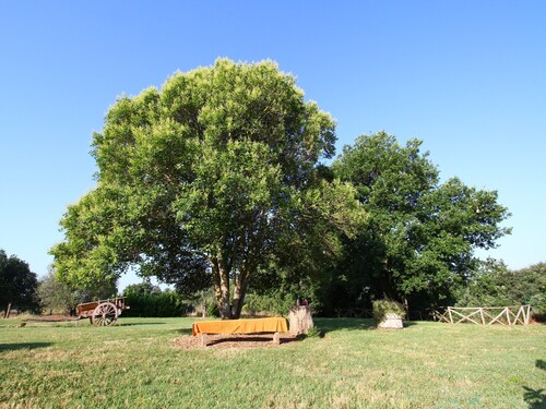 Belle ferme avec piscine en forêt à Sorano