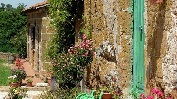 Un edificio rústico de piedra con una puerta verde, un muro cubierto de hiedra y plantas en macetas.