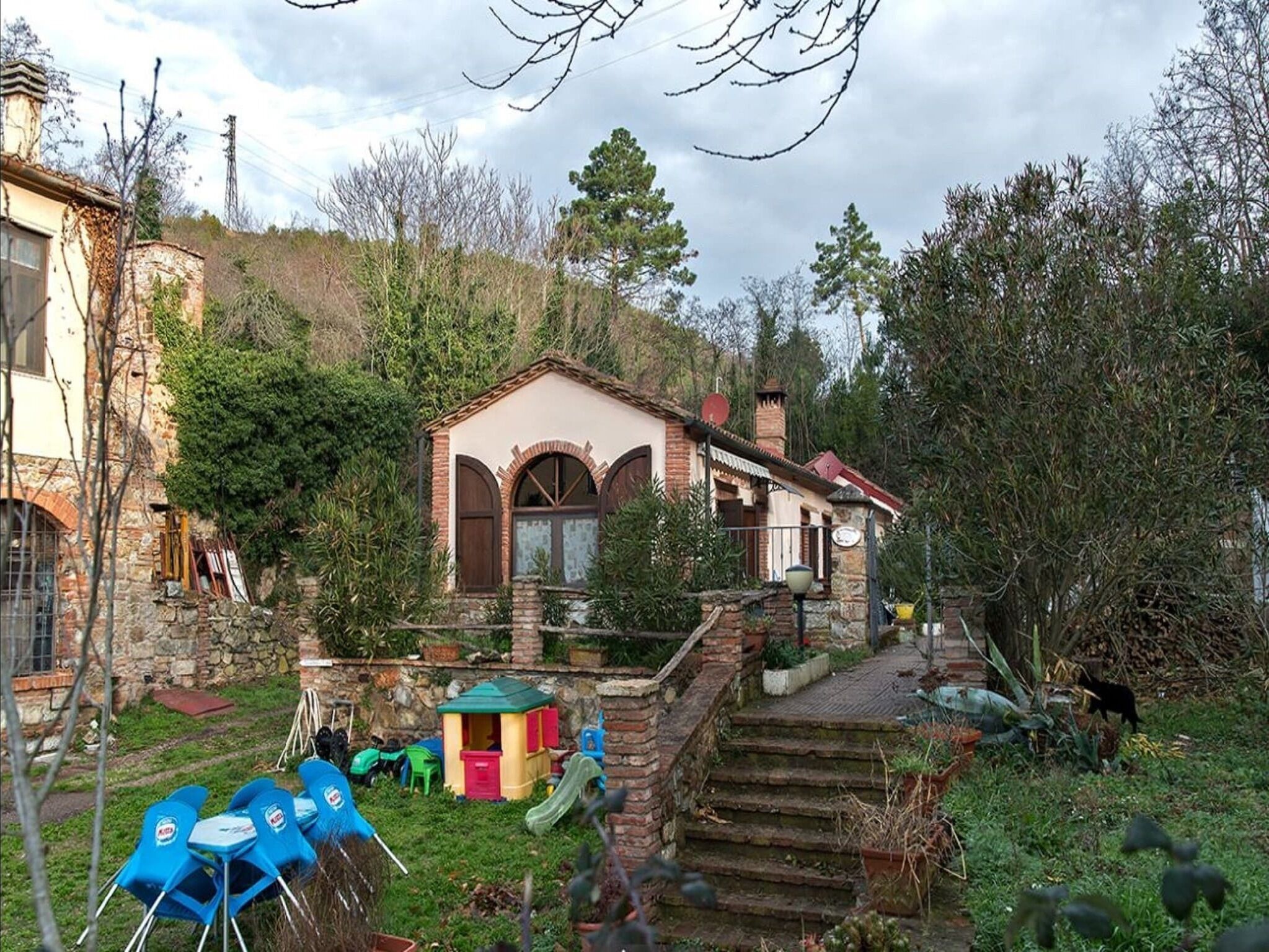 Garden [summer]