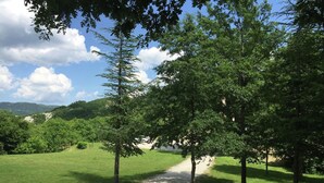 A dirt path leading through a grassy area with trees and a lake in the background. - Apartment in Marche with Pool & Terrace (Apecchio)