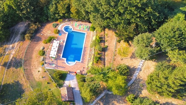 Eine Vogelperspektive auf ein Anwesen mit einem rechteckigen Swimmingpool, umgeben von einer Terrasse, einem kleinen Garten und einer Holzkonstruktion.