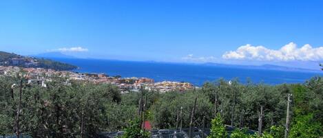 Utsikt fra overnattingsstedet