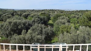 Property grounds - Villa in Syracuse with Pool and Terrace (Siracusa)