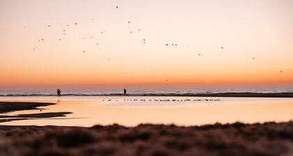 Villa am Meer bei Rockanje
